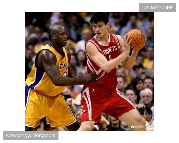 劳大与姚明的篮球传奇：从校园到NBA的辉煌之路与人生启示
